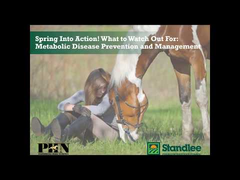 Spring Into Action!  What to Watch Out For: Metabolic Disease Prevention & Management