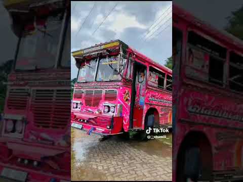 රෝස මල් කුමාරි , අම්මෝ ඒක 💖😊💫📌️ #bussrilanka #2023 #srilanka #bussrilanka  #subscribetomychannel
