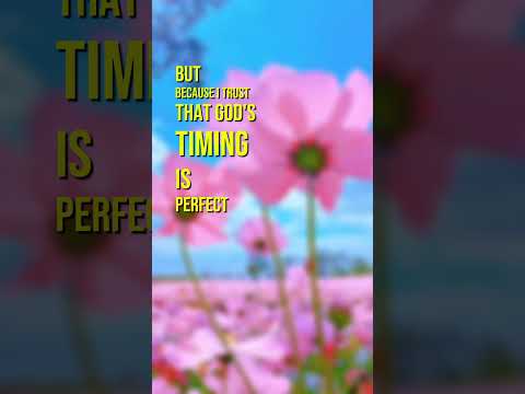 Daily Motivation Shot: One Minute to Refocus  #dailymotivation #inspiration #mindset