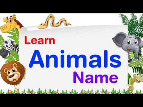 ANIMAL'S NAME | LEARN | KNOWLEDGE | EDUCATION | STUDY | LEARNING | GROWTH | MIND SET | FUN |