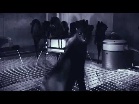 Bats Emo Club - BEST VERSION! Temple of Love - Temple of Bats, with beat-matched strobe light.