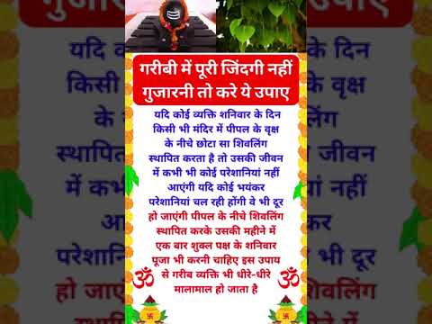 गरीबी में पुरी जिंदगी नहीं गुजारनी तो करें यह उपाय #vastu  #motivation #astrology#shorts#videoviral