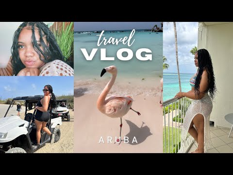 ARUBA TRAVEL VLOG | flamingo beach, utv riding, exploring, & more