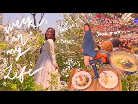 Week in my Life Korea | Yonsei, kpop concert, palace, cafes