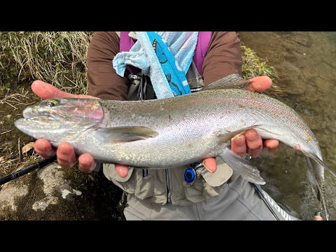 2025.4.28 北海道！巨大魚との格闘！！！