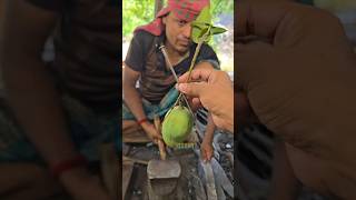 With skilled hands, he quickly makes a mango cutting knife using nails.