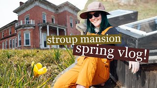 spring vlog! prepping a raised bed & showing off my early spring flowers - stroup mansion!
