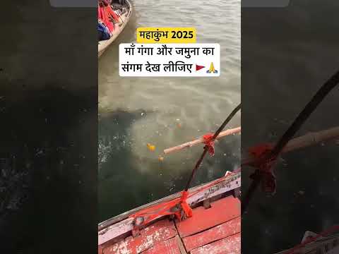 #ganga #yamuna #sangam #vlog #river #yamuna #music #song #radheshyam #mahakumbh2025