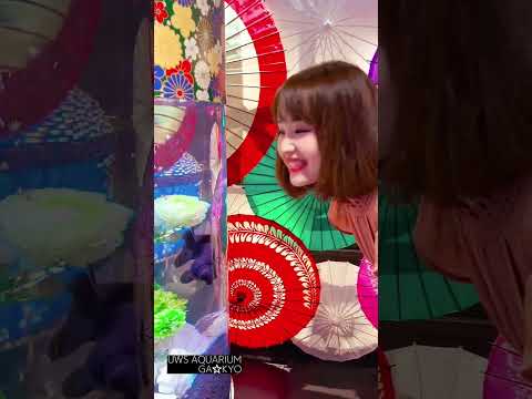 UWS aquarium GA☆KYO アク和リウム アクアリウム GAKYO アクアシティお台場 ナレーション レポ ボイス