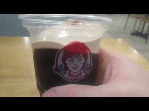 Wendy's Girl Scout Thin Mint Cookie Chocolate Frosty