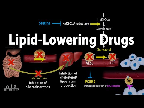 Pharmacology: Lipid- Lowering Drugs, Animation