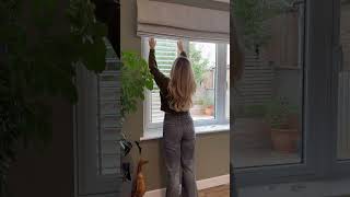 Window Shutters, but make it speady!🙌🏼
