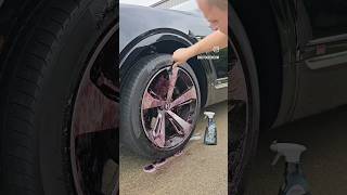 SONAX BEAST WHEEL CLEANER - available on Autogeek.com