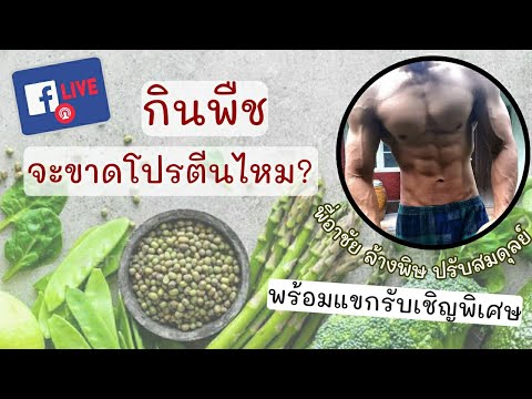 คุยเฟื่องเรื่องโปรตีน : กินแพลนต์เบสต์จะขาดโปรตีนไหม