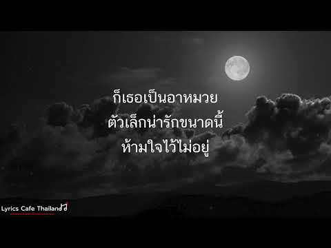 THE TOYS-อาหมวยหาย(เนื้อเพลง)