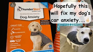 Finding the THUNDER SHIRT to help with my dogs ANXIETY