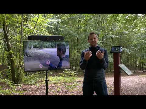 Microsoft Teams Rooms - Studio X52 in the forest