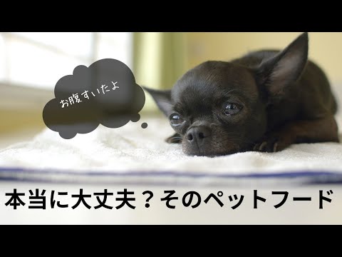 【可愛いわんちゃん】そのペットフード　大丈夫？