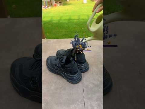 Homemade Trick To Eliminate Shoe Odor Instantly #homemade #recipe #shorts