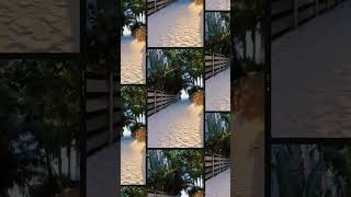 #beanpoint #beachaccess #annamariaisland #beach #beachday #beachlife #floridalife #beachwalk #sand