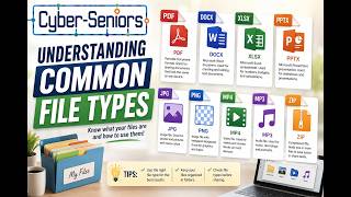 Understanding Common File Types