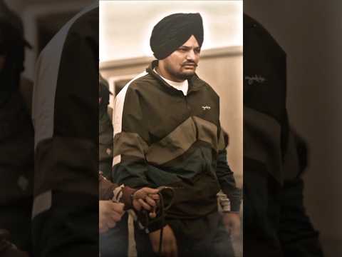 G Shit X Sidhu Moose Wala || Sidhu Moose Wala G SHIT Status || #sidhumoosewala | #short | #shorts