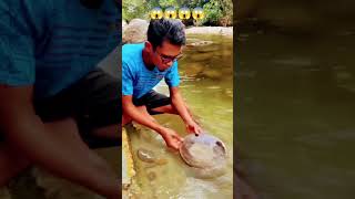 #mineralindustry #goldbusiness #goldindustry #love #goldmining 😱😱😱😱😱😱