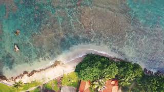 Relaxing Ocean Waves and Wind Sounds | 4K Ultra HD