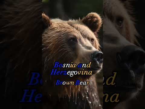 Your Country's National Animal - Bosnia🇧🇦 and Thailand🇹🇭