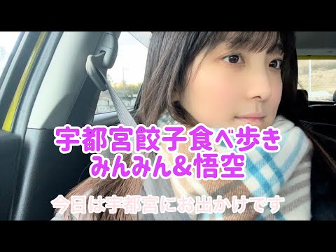 【食べ歩き】宇都宮餃子みんみん&悟空