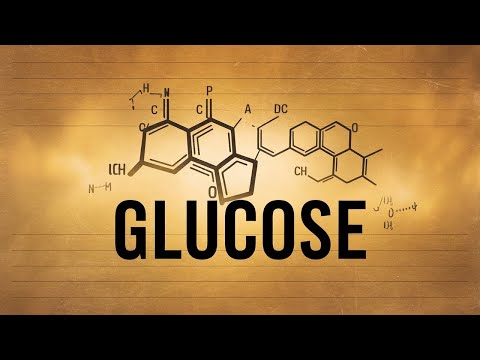 Linear and Cyclic forms of the Glucose Molecules