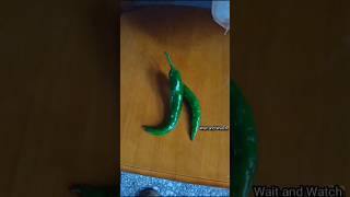 hand is😂 dance funny🤣 #funnycreator #short