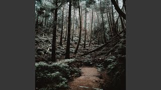 The Righteous Path