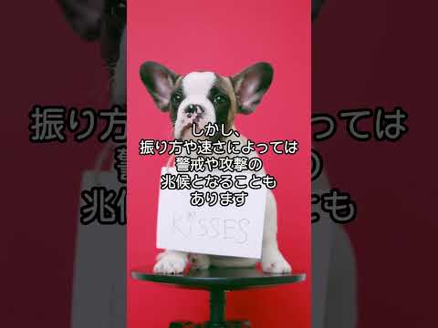 犬と猫の不思議な習性5選　#犬 #猫 #不思議 #5選 #雑学知識　VOICEVOX:青山龍星