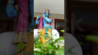 🌺Mohe Mor bnaiyo #powerful #peacefulmusic#devotionalpost #bhaktisong  #radhekrishnabhakti#shortsfeed