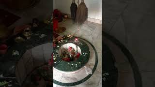 harharShambhuShivaMahadeva #BholenathMandir #Haridwar #viral  #@ytshort #youtube #Mahadeva #new