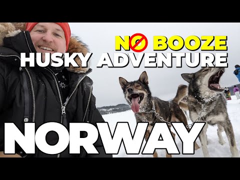 A NORWAY Husky Adventure That Took An UNEXPECTED Turn.