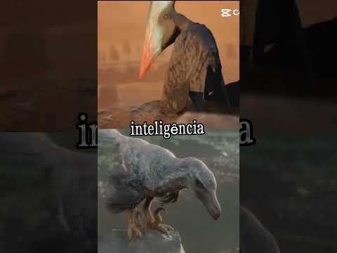 thalasadromeus vs velociraptor