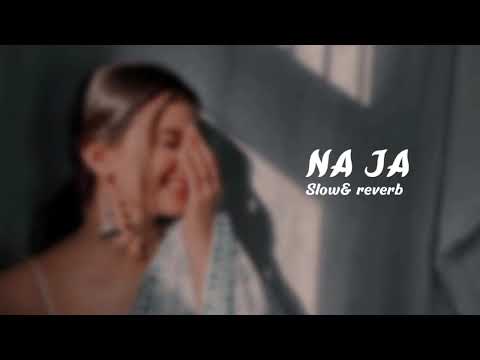 NA JA(Slowed-reverb):PAV DHARIA