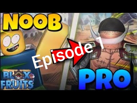 blox fruit due noob to pro ep 1