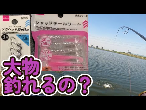ダイソーのジグヘッドとシャッドテールワームでデカいバス釣れるんか？