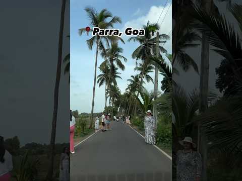 Goa Parra Tree place #goa #parra #travelling #travellingvlog #shorts #srk #viralvideo #bollywood