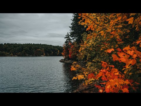 Relaxing Music, Meditation Music, Sleeping Music ☯016