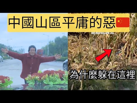 老人為了錢拿命去坑別人，農民為了方便自己把路全部堵死，中國山區農村那些活見鬼的時刻。
