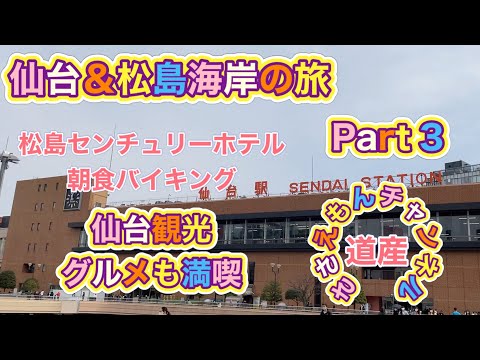 仙台＆松島海岸の旅Part３　仙台グルメ食べまくり！ディープな観光と国分町の夜ご飯