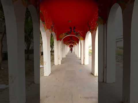 O nadan parindey Ghar aaja #ytshorts #shortvideo #shorts