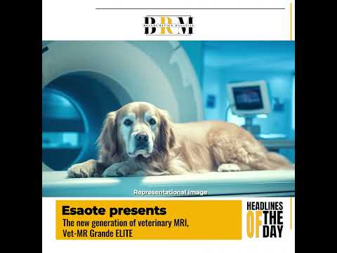 Headlines of the Day   4 July 2025