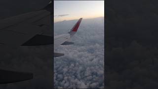 #trending #delhi | NWM - Delhi Vlog 2 ~ Amritsar to Delhi ✈️🛩 ~ Majja aa gaya - I tried korean food