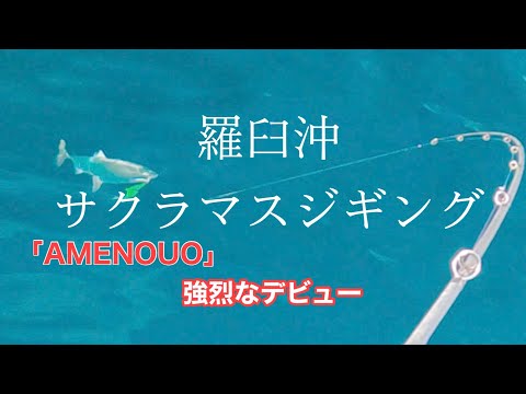 [サクラマスジギング]羅臼沖のサクラマスは「AMENOUO」が好き？