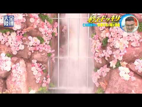 菊池风磨 / 全裸大陸 2/5